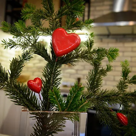 Gatzea * Kato Gatzea