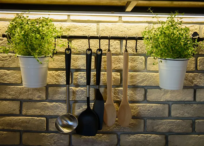 Gatzea * 卡托加兹阿